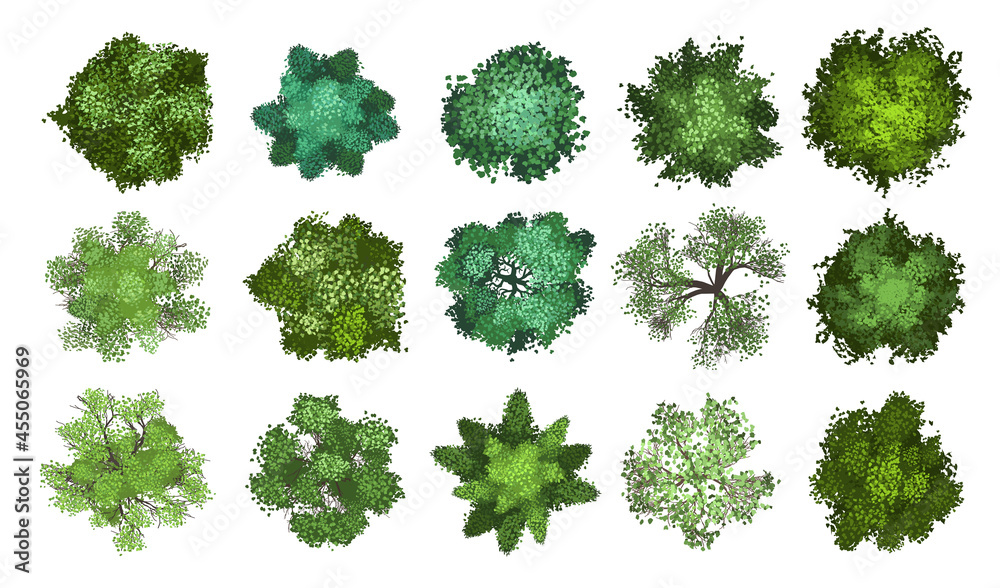 Wall mural vector collection. realistic trees. top view. different plants and trees vector set for architectura