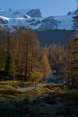 Detail of the path to the peak of Mount Rose at sunset. Here we are in Piani di Verra Inferiore closed to the Lago Blu in Val d'Ayas, Aosta, Italy