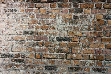 old brick wall