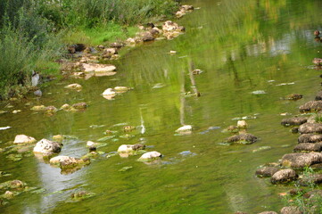 Stones in a stream with its calm flow with wild plants and bare trees in the background.