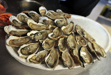 Italian and French cuisine, oysters, mussels, fish