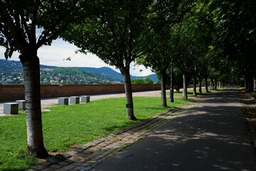 green promenade with row of trees in the castle area and view of Buda panorama in Budapest, Hungary in summer
