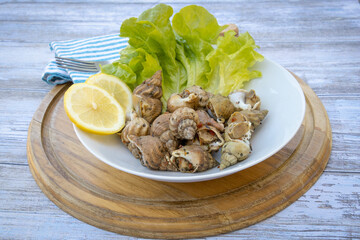 assiette de bulots cuits sur une table