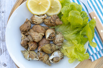 assiette de bulots cuits sur une table
