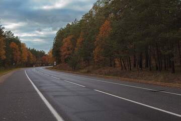 Autumn road running along the forest