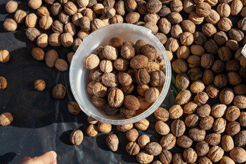 Walnut bucket is worth  layer of nuts