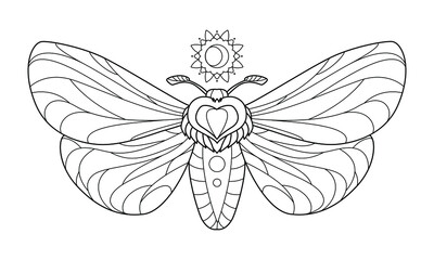 Butterfly, night-fly. Outline vector illustration for coloring book. Antistress for adults and children. 