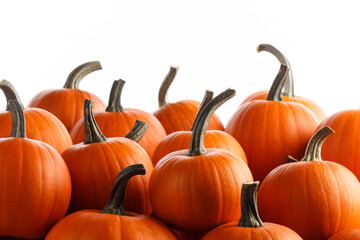 Many orange pumpkins on white