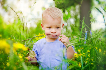 a pretty little boy walks through a field with flowers daisies and sage in the village