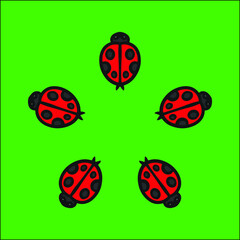 Fototapeta premium Beautiful formation of 5 ladybugs.