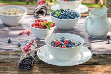 Tasty breakfast with granola and berries. Flakes, berries and milk.