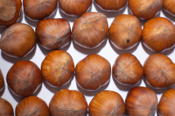 Nuts in shell, hazelnuts on a white background. heap or pile of nuts. Nuts background, healthy food