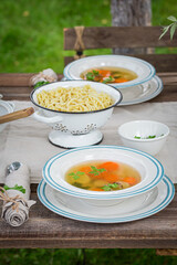Homemade chicken soup made of vegetables. Dinner in garden.
