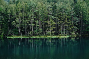 A scenic pond in the mountains at an altitude of 1,500 m in Nagano Japan.