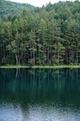 A scenic pond in the mountains at an altitude of 1,500 m in Nagano Japan.