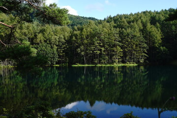 Fototapeta na wymiar A scenic pond in the mountains at an altitude of 1,500 m in Nagano Japan.