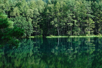 A scenic pond in the mountains at an altitude of 1,500 m in Nagano Japan.