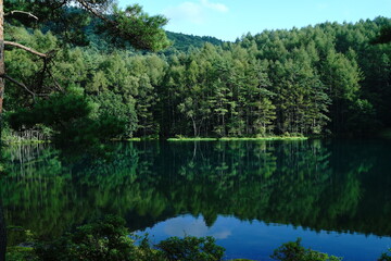 Fototapeta na wymiar A scenic pond in the mountains at an altitude of 1,500 m in Nagano Japan.