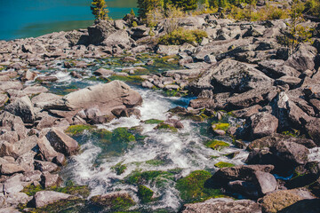 Mountain stream flowing into the lower Multinskoe lake.