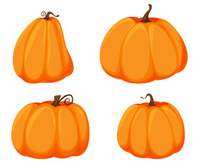 Orange pumpkins of different sizes and shapes.