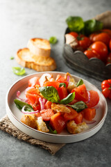 Traditional Italian panzanella salad with tomato and bread