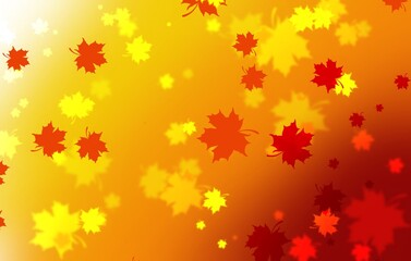 Bright colored background with autumn leaves.
