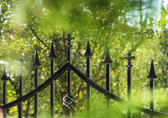 Wrought Iron Fence. Metal fence