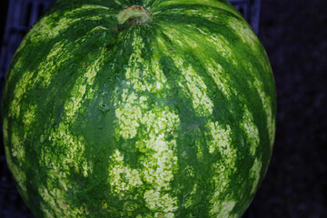 Watermelon close up texture. Natural berry background. Healthy diet food