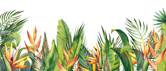 Obrazy  Horizontal border with tropical heliconia, strelitzia flowers and palm leaves. Bird of paradise flowers. Watercolor illustration on white background.