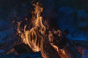 Wood burned in the fire. Poland, September 2021. © Lukasz