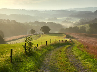 Rural landscape in the German city of Velbert at sunrise in the Bergisches Land region. A dirt road...