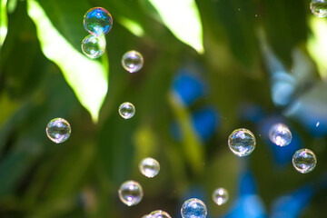 Water bubbles floating and falling on green leaves