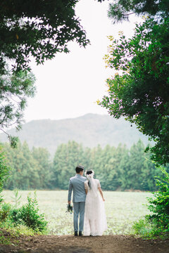 Jeju Wedding Snap, wedding photo, nature photo