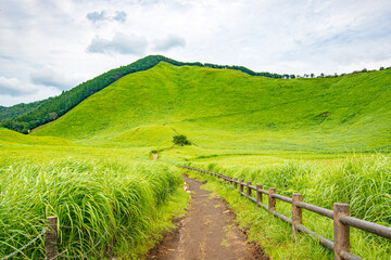 field and blue sky