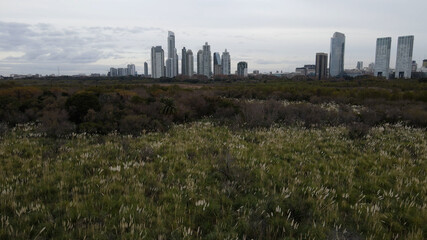 Fototapeta na wymiar Aerial slow flight over grass fields and gigantic skyline of Buenos Aires in background,Argentina