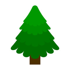 Spruce.Forest. Tree