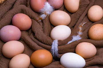 Fresh eggs with chicken feather. Organic diet stock photo.