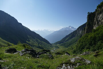 Fototapeta na wymiar Les Alpes : un spectacle naturel grandiose