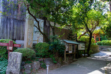 Obraz premium house in the village