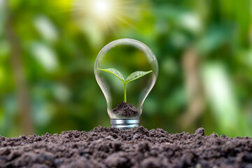 Trees growing in energy-saving and energy-saving bulbs are environmentally friendly. renewable...
