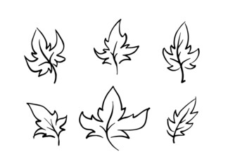 black and white drawing of leaves. Linear art vector illustration isolated on white background