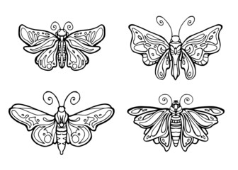 black and white set coloring outline butterflies drawing vector illustration