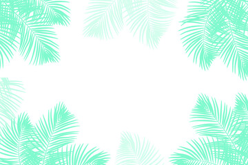 Fototapeta na wymiar Tropical background with palm tree leaves. Jungle forest. Leaves of the tropical trees as frame. 