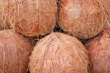 Coconut in a brown shell. Macro, texture of coconut.