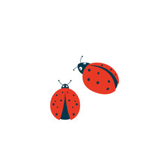 Cute ladybug or ladybird simple flat design red and black. Vector illustration isolated on white background. Vector illustration.