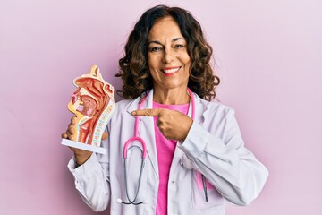 Middle age hispanic doctor woman holding anatomical model of respiratory system smiling happy...