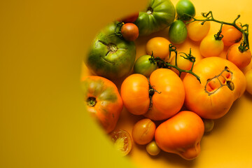 Yellow appetizing vegetables with a bright paper arch