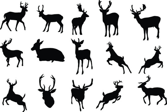 Black silhouettes of different deer and horns, vector wild deer family and baby fawn black and white vector silhouette set 01