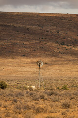 Traditional karoo windmill at the foothill of a mountain in South Africa