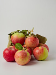 Gala apples isolate on white background
